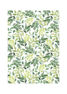 sA4×50 O[[tt ubNJo[  킢 bsOy[p[  