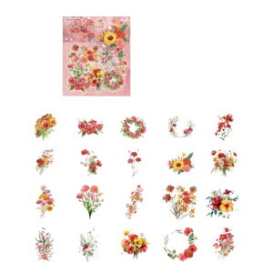 EZ PEACH R[Wf V[ t[N  ԁX  h g PET R[WDIY  fގ  pbN V[V[g 蒠fR t  킢  LfR[