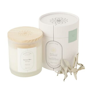 FIOLLU A}Lh RĖ40 (Z[WAV_[)yA}ZsXgďCzVR\CbNX&X  Ȑc230g Mtg Serene MIst