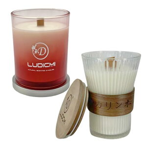 LUDICMI A}Lh MtgZbg Ԃ̍聕؂̍ Owuh ؐ_ucp`p` A\CbNX ԔR Mtg{bNX (UNZi[f^JL)