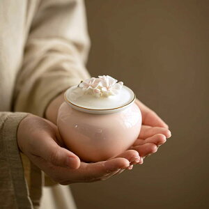 DiDiBirDi ~j jp ⍜ꍜكJo[ Jo[ RpNg  茳{ [ pi ~jTCY  ybgɗDVRfރJvZ[Dis