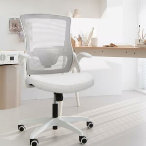 ÿU×ᔽNbVz NEOCHAIR ItBX`FA fXN`FA bV`FA ʋC ˏグA[Xg J[ ɂ₳ ݑ[N DBS