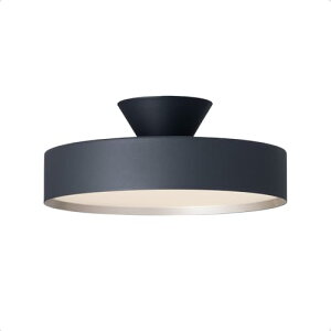 �A�[�g���[�N�X�^�W�I �O���[ 4000 LED �V�[�����O���C�g �`8���p 40000���� ���� ���F (�g�F/���F �؂�ւ���) �ԐڏƖ��@�\ �����R���t�� AW-0555E-BK/CGD (�u���b�N + �V�����p���S�[���h)�yLED�d��