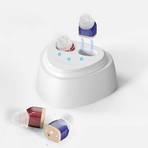 W  イ y2025NvV^E킸2.2gEiKʒEdEȒPz Type-C[d ő20ԘAgp ^ Ў/Ή Ҍ 50{ mCY} l