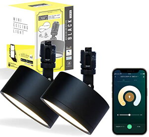 y@ AlexaΉzGW\X}[g ~jV[OCg _Ng[p (A[t/ubN) 2Zbg  F X}[gd X}[gCg pRΉ