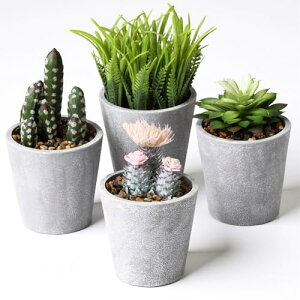 Vasemouh A lHtbN ~jtFCN t 4 4_Zbg k CeA 