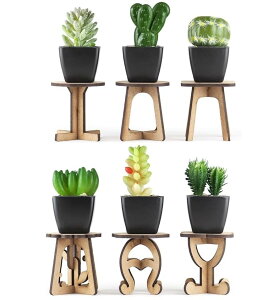 ~[Y NaturalGarden tFCNO[ A lHϗtA ̂Ȃ CeA 6{X^hZbg