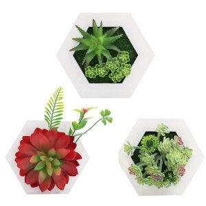 EH[O[ tFCNO[ Ǌ| tFCN ϗtA Zbg  fBXvC CeA   (3Zbg) (W3)