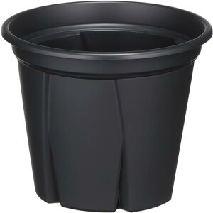 AbvEFA[  v^[ 悵 4 [^ ubN s12cm 12cm 11cm ̈琬𑣂 XbgH