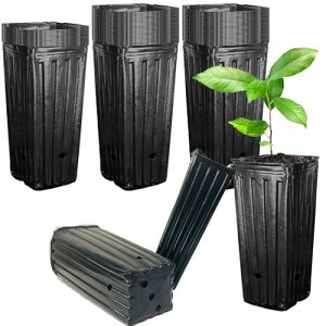 SALUDABLE |bg c|bg v^[ [^ O ||bg Aؔ rj[ c (50Zbg)