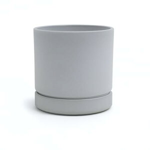 Greenship Aؔ 󂯎Mt 4i12CMj EΕGRf όEh }bgȃIV (CgO[, 4)