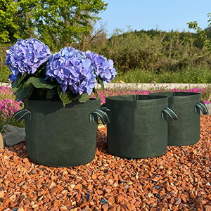 AXg sDz|bg _[NO[ 7TCY 3g v^[ | Aؔ A A琬 ؍͔| 622-02