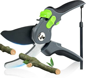 |poT~ 2iK߉\ y2025lCtEz΂ ₷TNTN؂ lC  SK5Yf|   }؂ ʎ ~ 뉀   ͂ yʉ