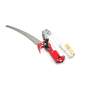 }؂oT~ [v }؂̂ }mRM }؂oT~ } y ͂ K[fjOpi  ʎ ̎ } nT~ | K[fjOpi Pi