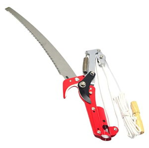 Anfurt }؂oT~ [v }؂̂ }mRM nT~ } y ͂ K[fjOpi  ʎ ̎ } nT~ | K[fjOpi (bh)