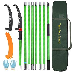 Kokorona 8m }؂mRM 蓮̂ 8iK yʍ}؂oT~ ߂̙oT~ ϋv|苘 |ʎp