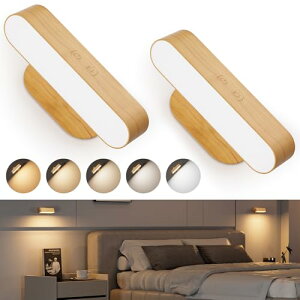 Hensam LED uPbgCg Hsv F EH[Cg 5000mAh Type-C [d ԐڏƖ Q xbhTCh   Ɩ  L Ki  ʑ led  v R[hX iCgX^