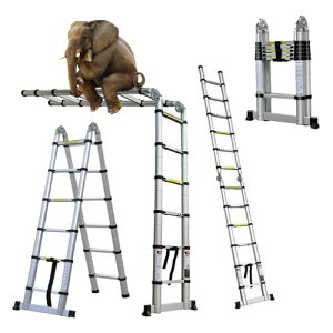 DayPlus Lkr͂ pr Œ3.8m Lkq ω׏d150kg y @\ ܂ A~͂ RpNg ^тɕ֗ Lk bN SbN XCh Op A