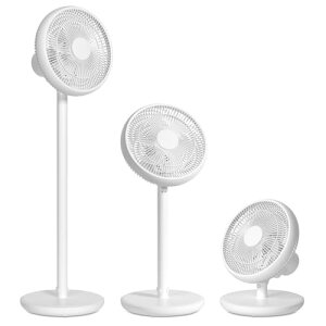 y2025Voꁕߓd΍z @ T[L[^[ dc[^[ É 13 Rt EU ȃGl 15w iK 3i 6H  pt OFF^C}[ |