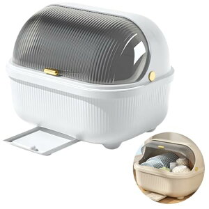 DIZLAS ؂胉bN H튣@ ^ ؂肩 HI [ e X Wt (zCg)