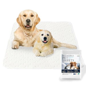 yuԋzf × ŌtƊJz􂦂ybgV[c 2 Lp 3DbV ėp\pg[jOpbh [JȂSF߂CIɂRہEhJr