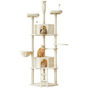 Mwpo Lbg^[ L^[ ˂ ^L X ȃXy[X   ܂Ƃ LnEX nbN t 217-238cm x[W 902A