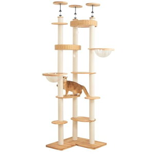 PETTIFUL Lbg^[ ˂ ؐ `ԃAW\ y 萫ocO  ^L X  ?VRؖ R[i[Kp ꏊ炸 ȃXy[X t VjA o