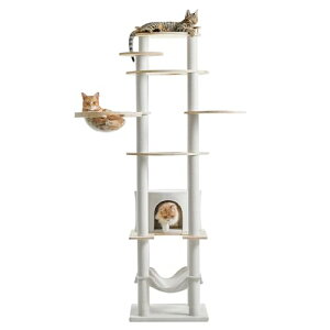 Mwpo Lbg^[ L^[ L Lbg ^[ Lpi u ^L ܂Ƃ  nEX    lC ^s łnbN L̋{ 266 (ؐ)