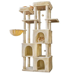 Mwpo L^[ 芴 ^ h LnEX  ܂Ƃ  ˂ L lR  R qL VjA 178CM x[W 814A