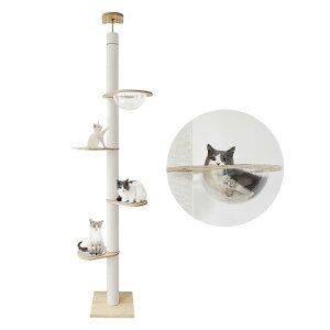 u{[J[vRAKU ؓo^[ FDnbNt VO Lbg^[ ˂ L^[ ȃXy[X 183-208cm 209-229cm 230-250cm 251-270cm lޑI X ܂Ƃ Sꊪ