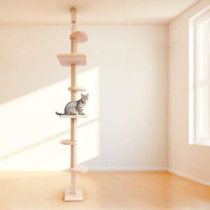 zƍlĂŉI!Iy˂nEXV[Y YƕO Lbg^[ V˂V䍂260cm܂ TYPE1 L̉K VяԂR݂ɃJX^}CY  gւł VR