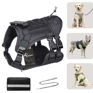 emcpter  n[lX h~ ^ ^ [h   pn[lX pg[ ϋv ̂Rpn[lXiCybgx Xg[LOhb Og[jOn[l