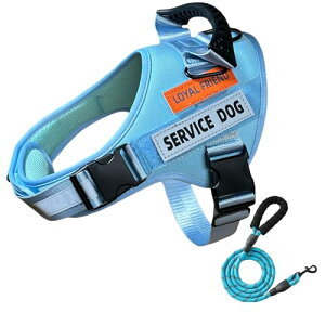 Maio Benri  n[lX n[lX ^ ^ ^ Ȃn[lX n[lX  C[W[EH[Nn[lX [h Lk \tgn[lX h~n[lX n[lXxg ジ