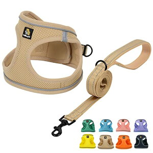 BELLA & PAL p n[lX [h Zbg ^ ^ Lpn[lX  h~ TCY\ Ԕ EȒP Up ϋv ʋC \tg bV (J[L, M)