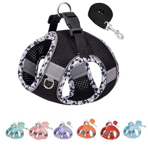 ybgpn[lX n[lX^̃n[lX ^sAjOAg[jOɕ֗Ȍpn[lXƃxgZbg^pn[lXA^pn[lX (ubN, XXS)