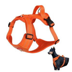 NyyGlykys  n[lX ^ bVn y ߉\ n[lX  Ď _炩 ʋC pn[lX nht ^ Ԕˍޓ h~   ^A^