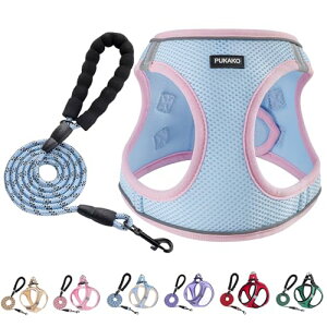 PUKAKO  n[lX L [hZbg  ^ pn[lX Lp  bVf ĝɗD ˍޕt ߉\ U EȒP h~ lC  iu[, XS)