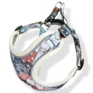 Lil&Fam  n[lX ^ ^ ĝɗD  ȒP ˍޕt 킢  a_ Aht@ (x[W, XS)