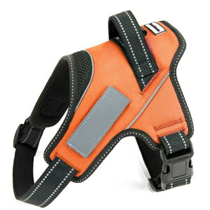 yhbOg[i[EIzLiberte harness  n[lX AɗD l[v[g hbOn[lX (MTCY, IW)