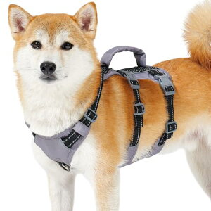 Huntboo  n[lX ^ ^ pn[lX h~ Ȃ TCY\ Ԕ Pݖh~ s⏕ P U ^ Č (ubN,S)