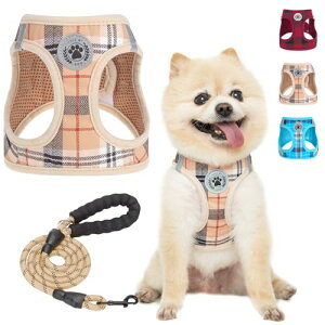 BEAUTYZOO pn[lX [hZbg ^ ^ Ή h~ ߉\ ʋCbV y ˍޕt ȒPE Ȃ K  U P V s⏕ ėp `Fb