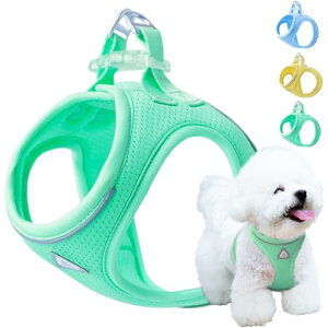  n[lX ^ Lp Ȃ y CǋE΍ SȂ bVf 3Mˍ A~ u₩ȃO[igreen XS)