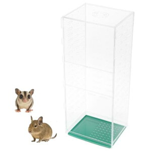 HaNaRuNa ANP[W 360x tNK fO[ AN[ P[W ^  傫 JX^ R (120cm)