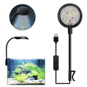 PAVIKE  LED Cg 14v lF Cg 360x Ȃ\ ȃGl 