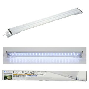  CgAbv WIDE 600 zCg 60-70cmp