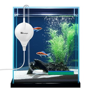 Mriocan GA[|v Â ^GA[|v ANZT[tGA|v Iɐ/̎_f񋟉\ ᑛ 1.5W I ȃGl Mы ANAE Ϗ܋  (L)