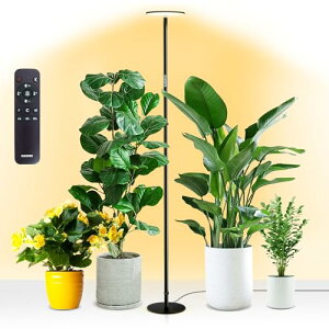 chiphy A琬CgACgled A͔| ߉\ 175cm | A͔| /^Apc (175cmi2300K-6500KARt)