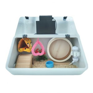 qingshenyi ঒��ރP�[�W �������p �����ގ���e�� �e�����E�� �J���T �g�J�Q �N�� �T�\�� ������ �w�r �N���K�^ (�t�N���������K���甠(������))