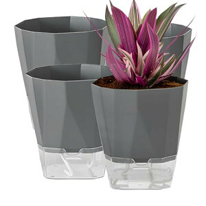 Aؔ  v^[ϗtA ʋ  4Zbg Rt  O n[uAԁAA͔̍|ɓKĂ܂ ZDF