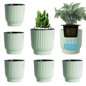 East Leaf  v^[ ʋ Aؔ ȋ  t ϗtA  M 11.5×12cm O[ (6Zbg)